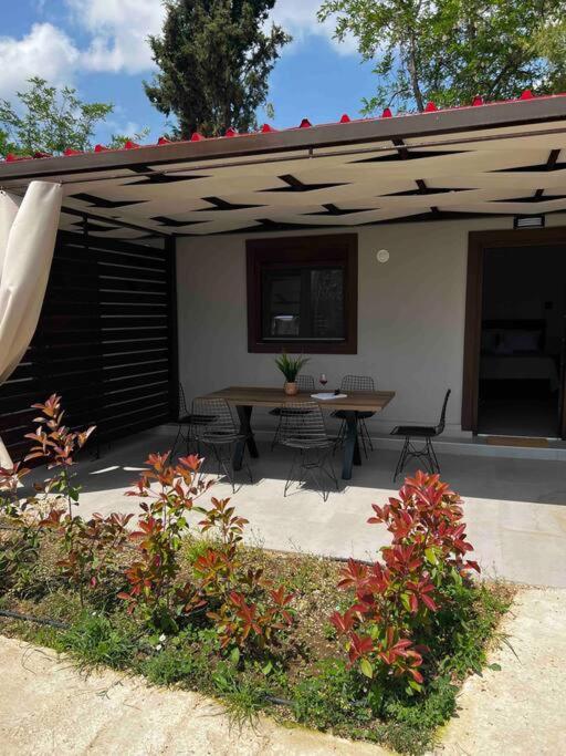 Hébergement de vacances •naiades Villas• Castalia•